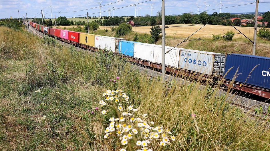 Symbolbild - Ein Containerzug auf den Weg ins Ruhrgebiet zwischen Feldern