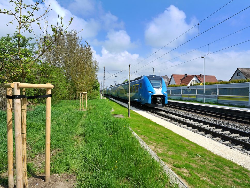 Angelegte Grünfläche an einer Verkehrsstation