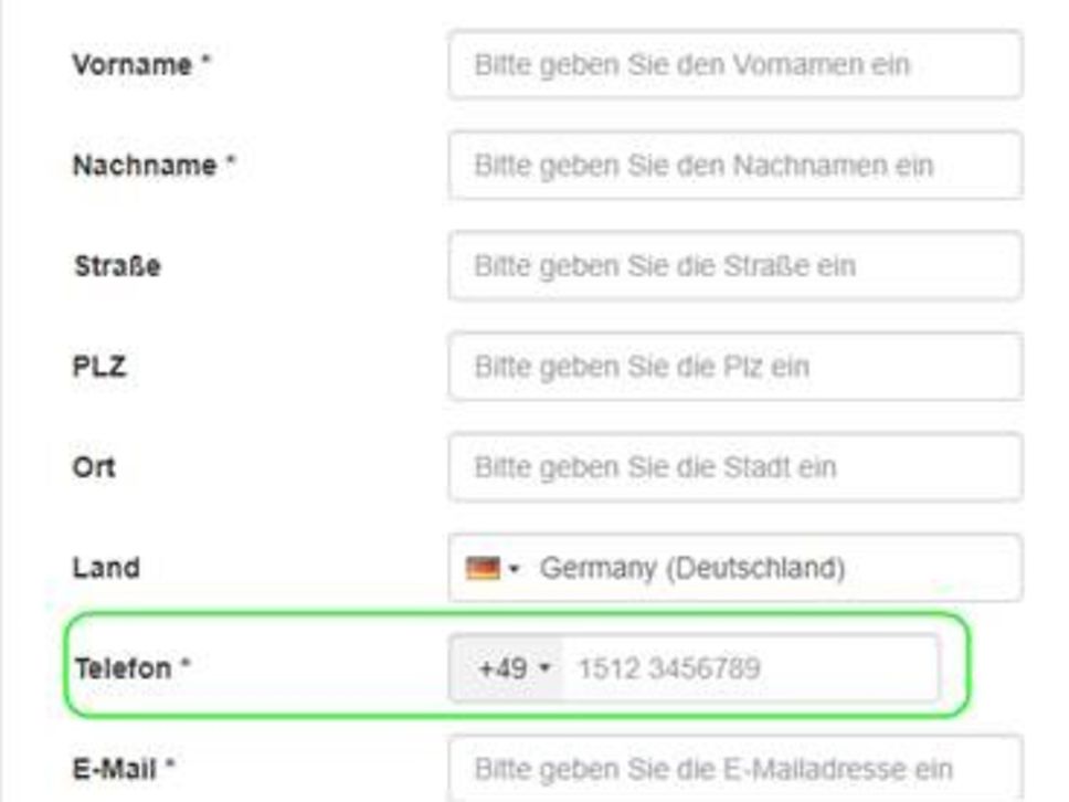 Ausschnitt aus der Anwendermaske des Kundenportals