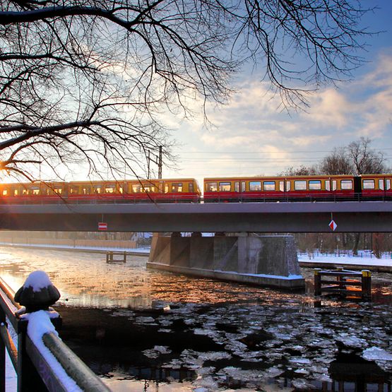 Winterlicher Sonnenaufgang an der Spree