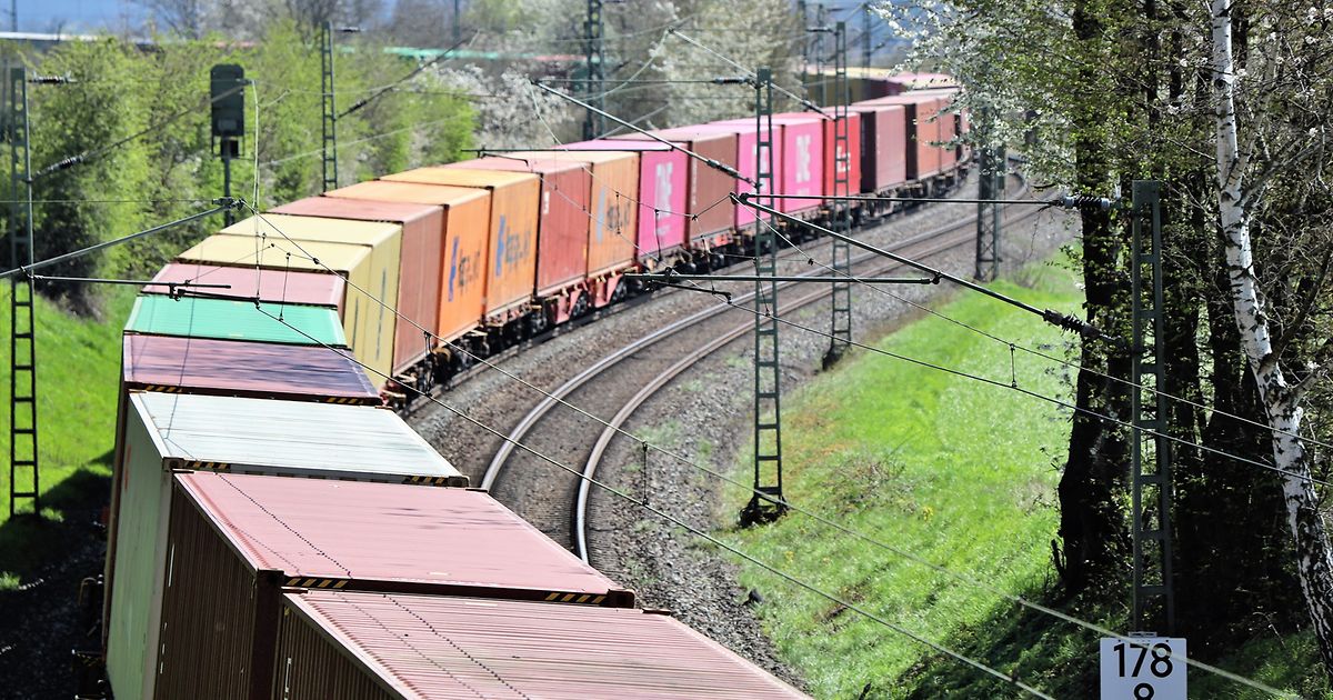 Schienengüterverkehr (SGV)