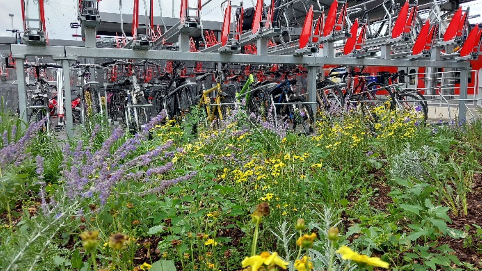 Fahrradabstellplätze am Bahnhof Ansbach