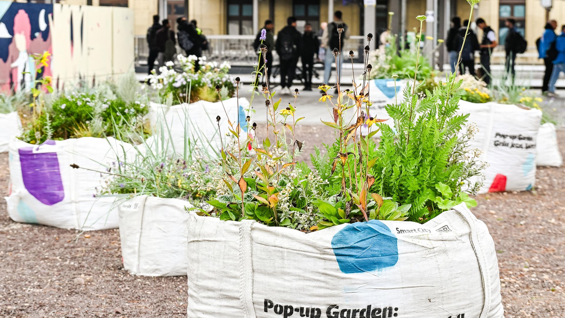 Pop-Up-Grünfläche mit geplantem Spielbereich für Kinder